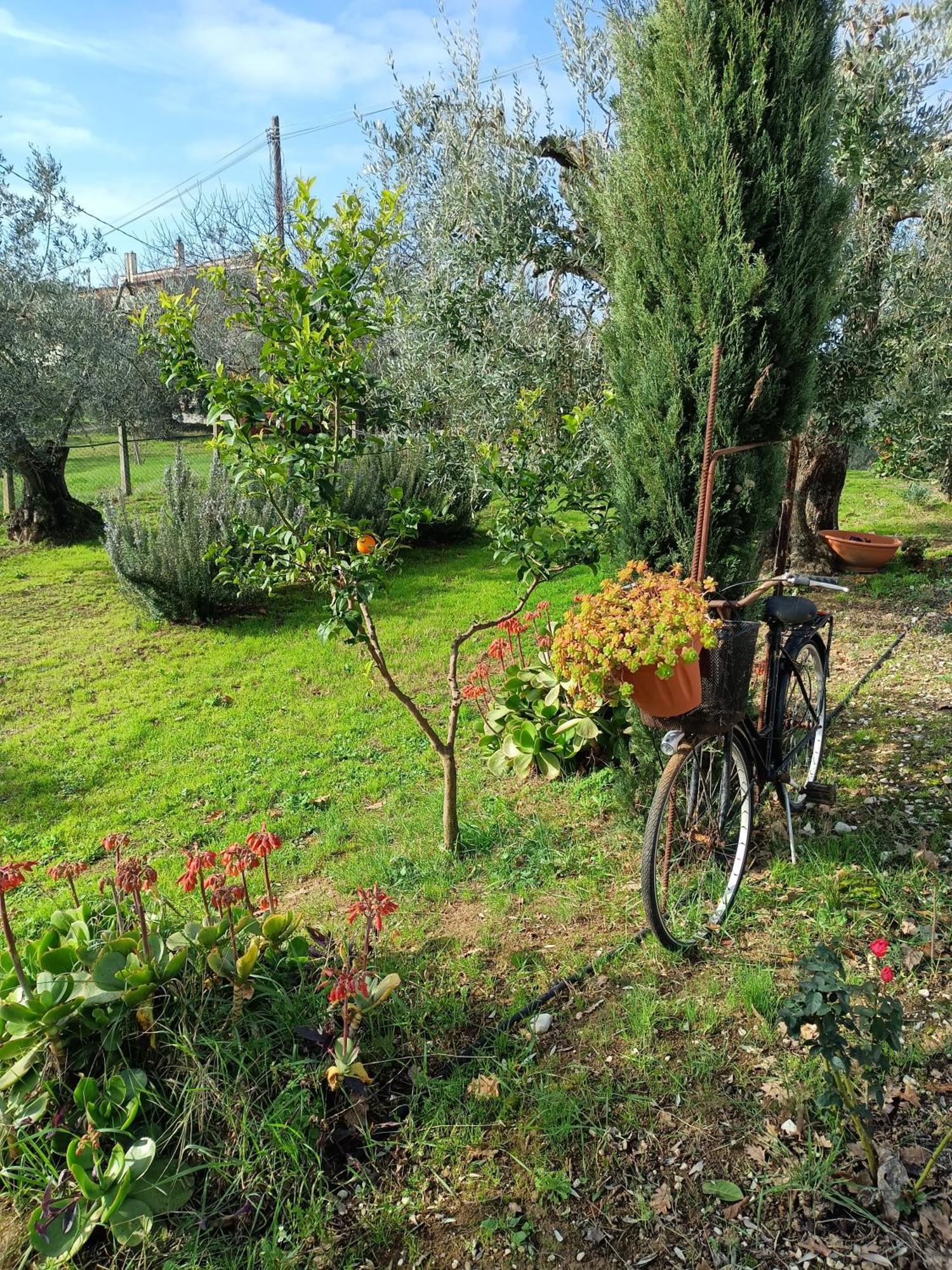 Colle Perazzoni Apartment Fiano Romano Room photo